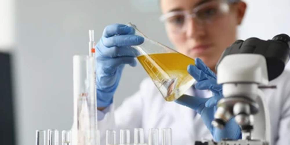 Acerca de nosotros 1 quienes somos