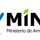 descarga (4)