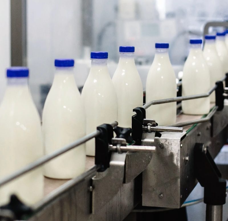 complete milk bottling line in a factory diary q3vvyn9u2eqi4l3na549irgkwga6hfo5f0w663s5l2